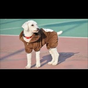 Meet your Posher, Peter